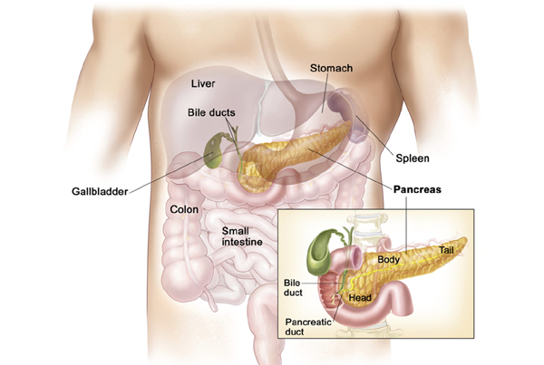 Pancreato Biliary Disease