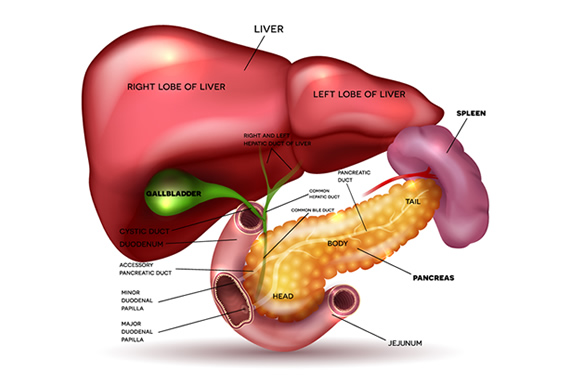 Pancreatic Biliary Disease Treatment